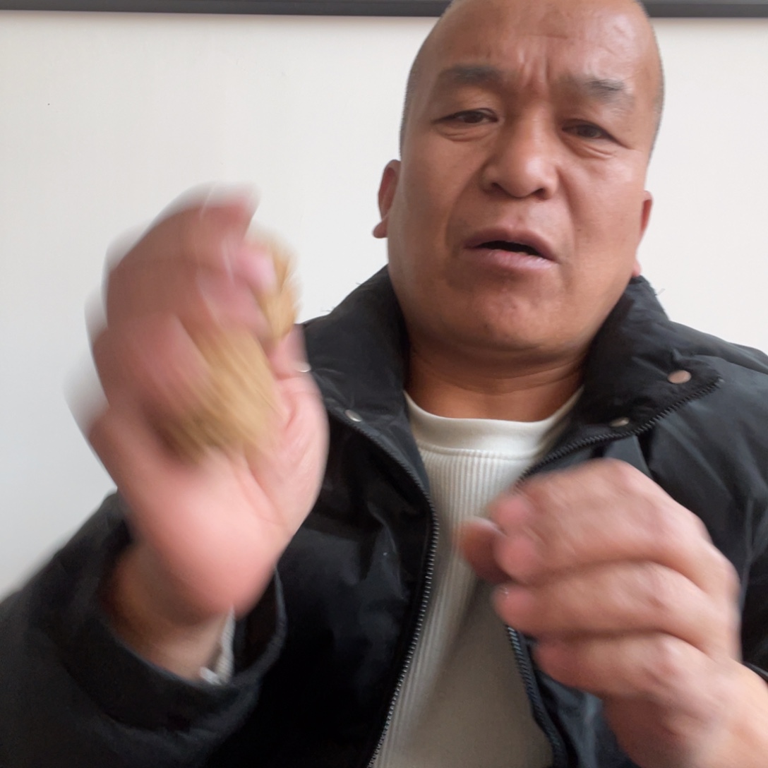 杨***某文玩核桃吊坠南瓜45