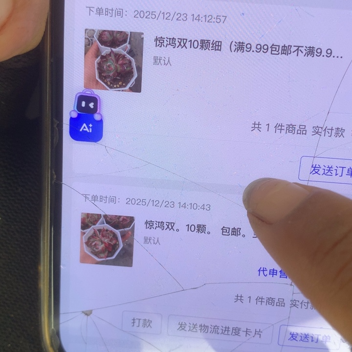 惊鸿双细。10颗。包邮