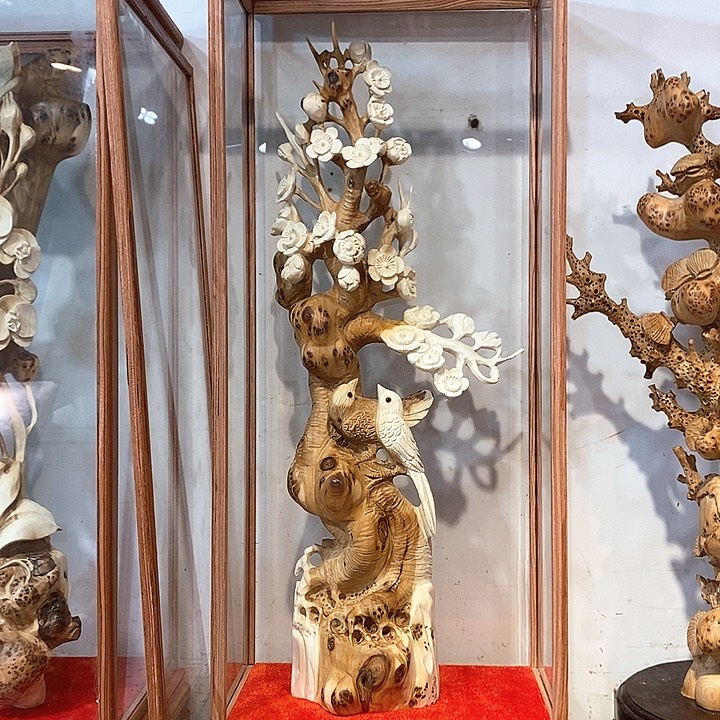 柏木（崖柏）双色梅花