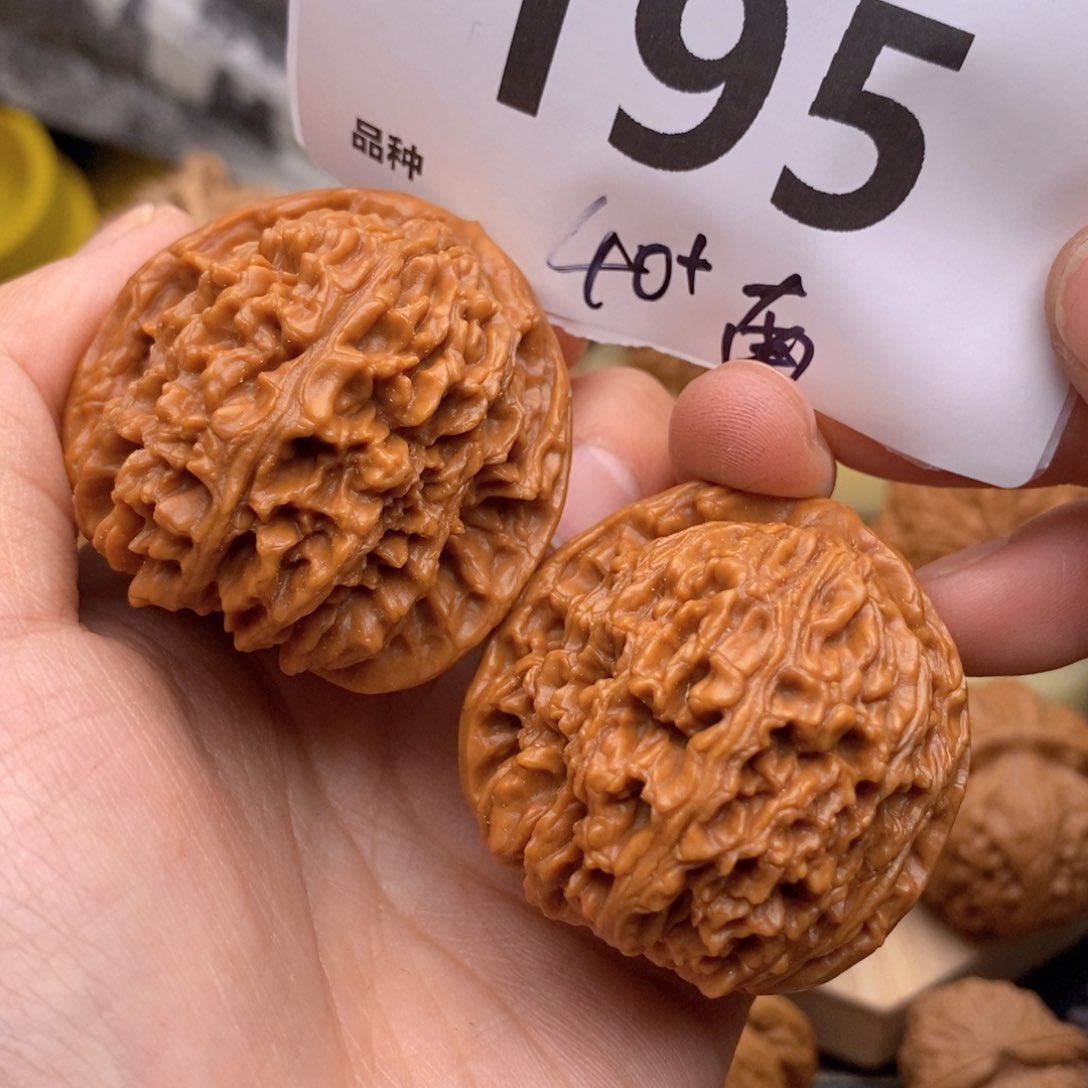 文玩核桃把件195号线40加南疆