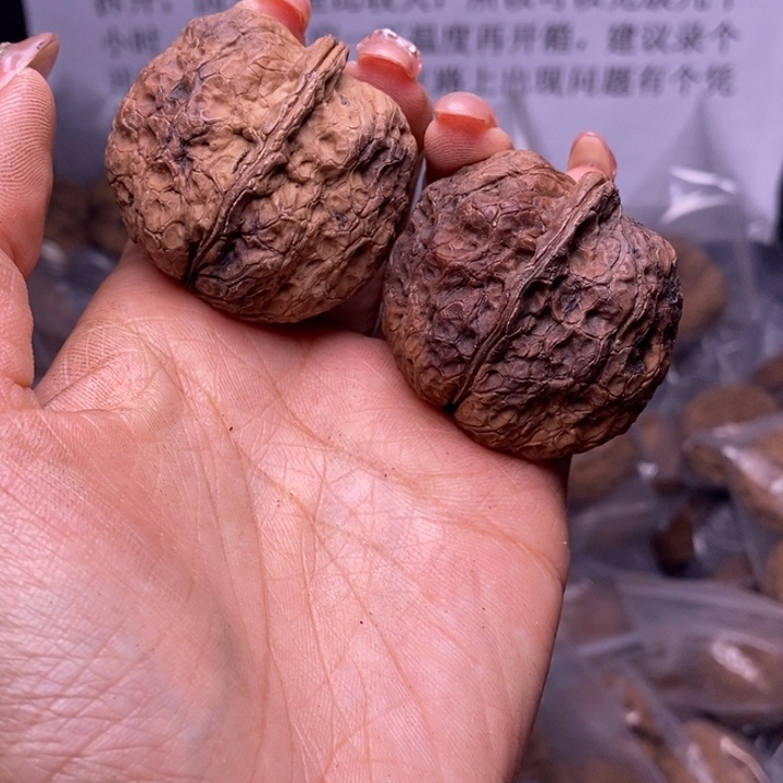 核桃云南野生铁核桃178号42mm