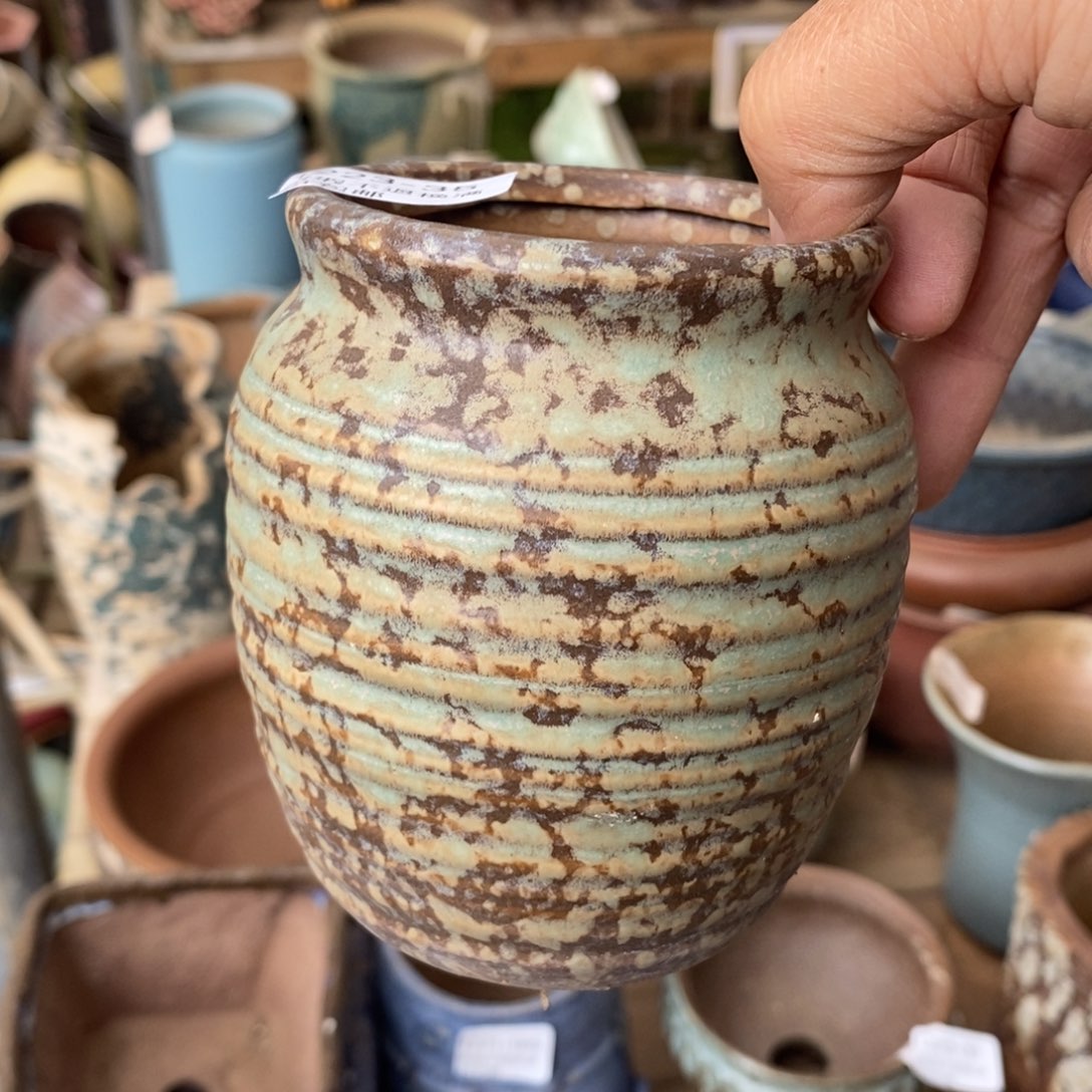 35号多肉盆口径6小可爱