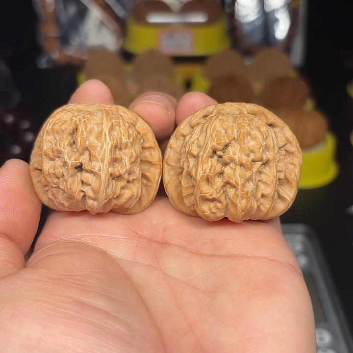 筱***0文玩核桃白狮子尺43