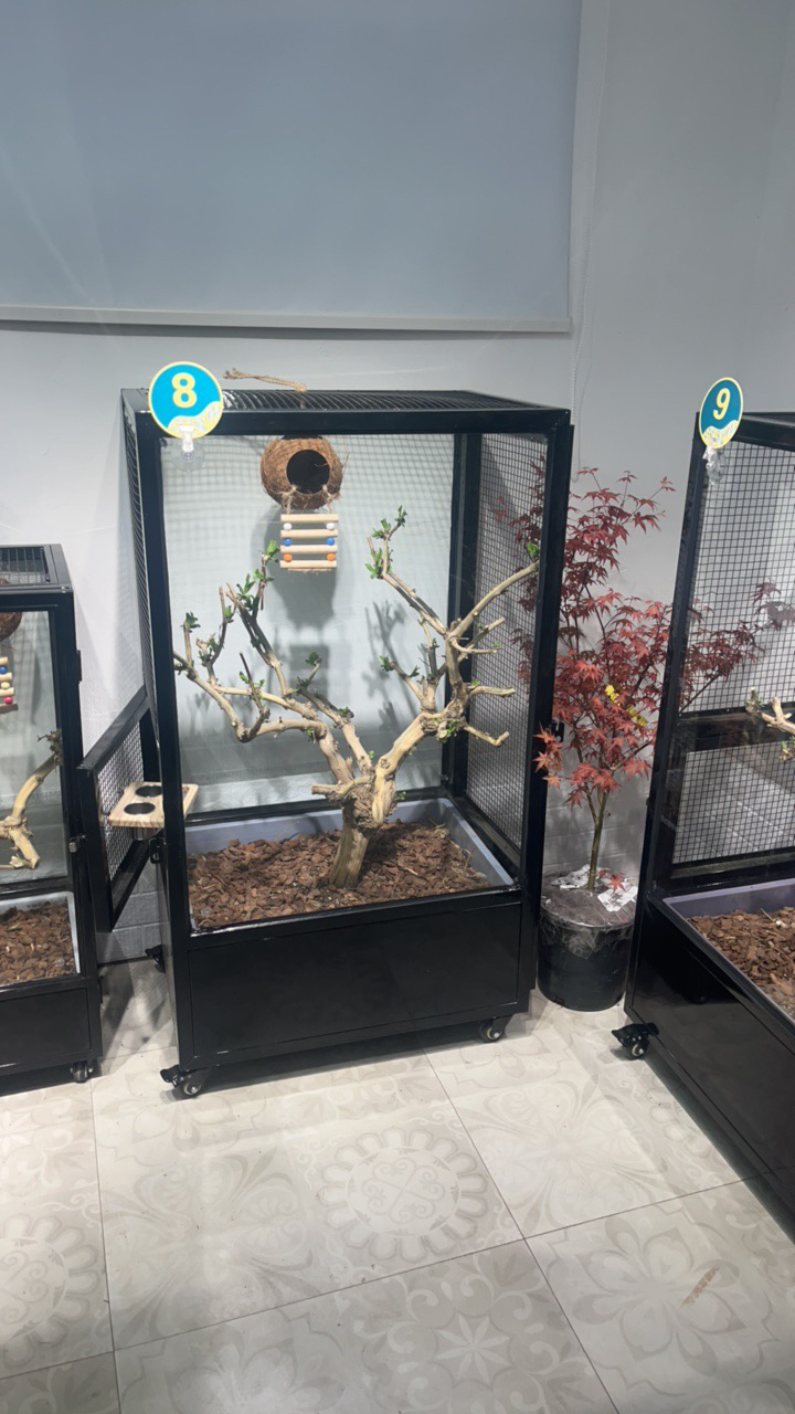 中号不锈钢观景生态鸟笼1.16×65×45