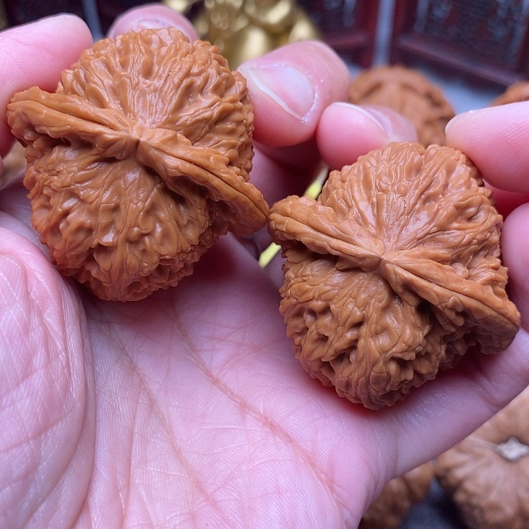 文玩核桃把件老*全品毕业白狮子42尺