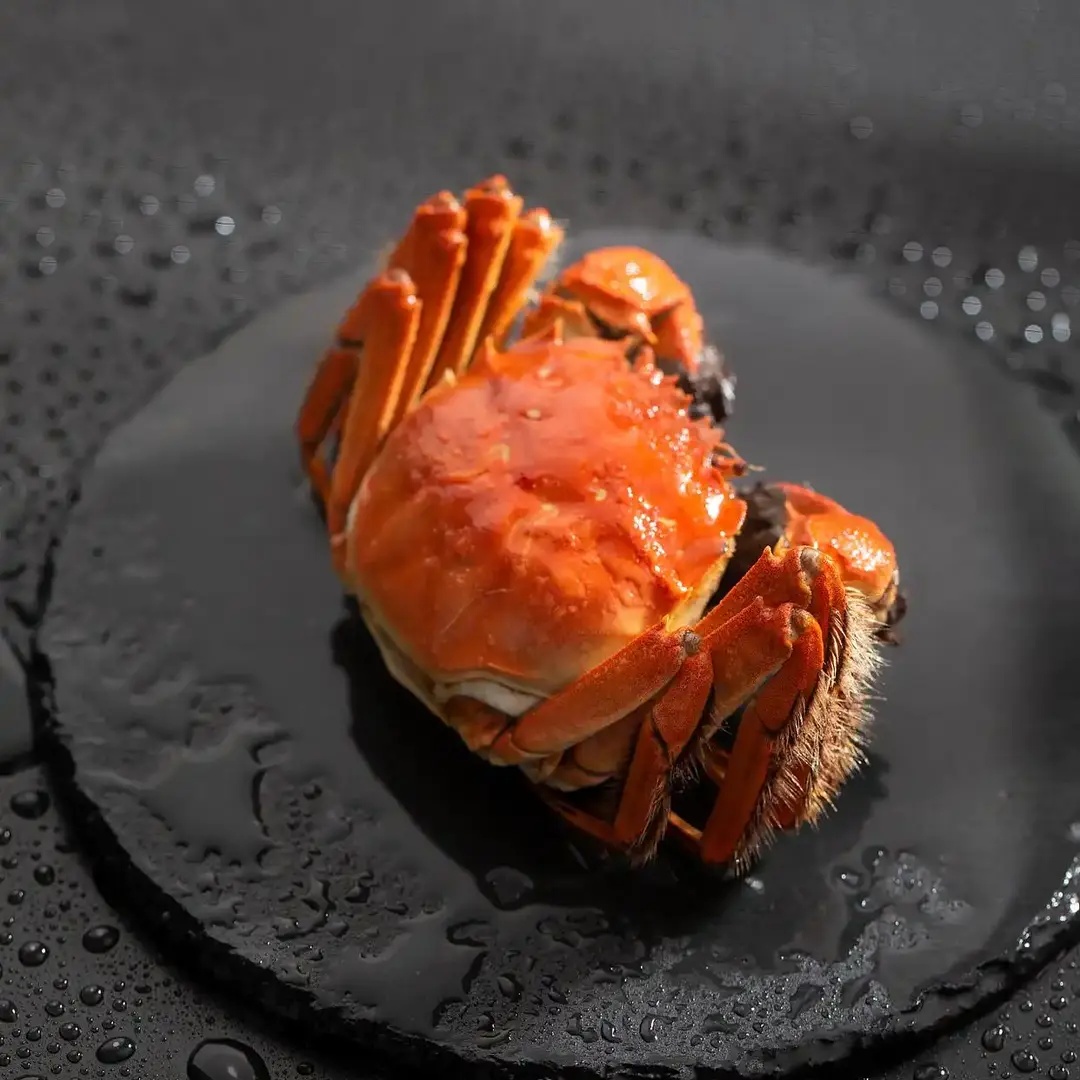 【活蟹现发】精品江苏大闸蟹 全公蟹6两/只 全母蟹5两/只 2对/3对/4对装 顺丰京东冷链