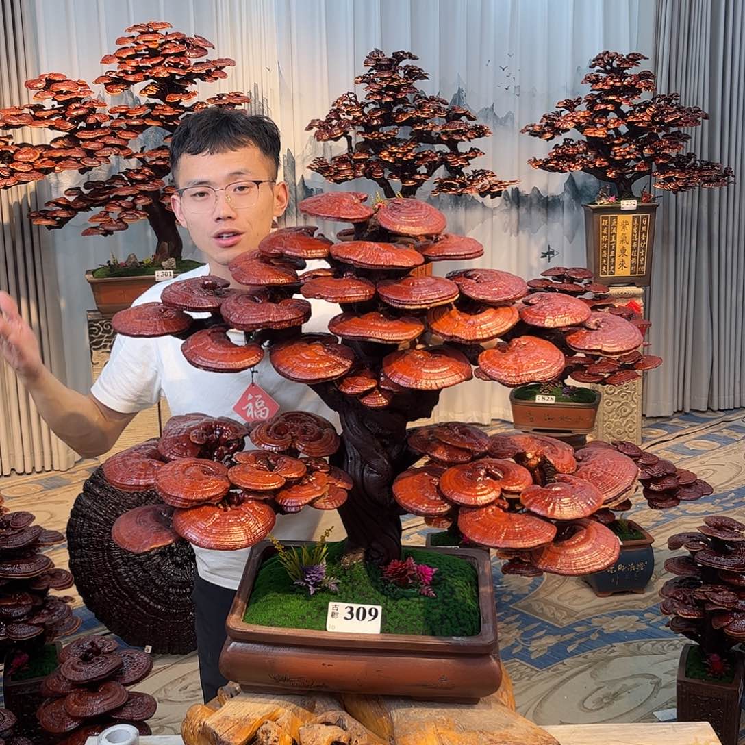圣***司无花朵888888888888