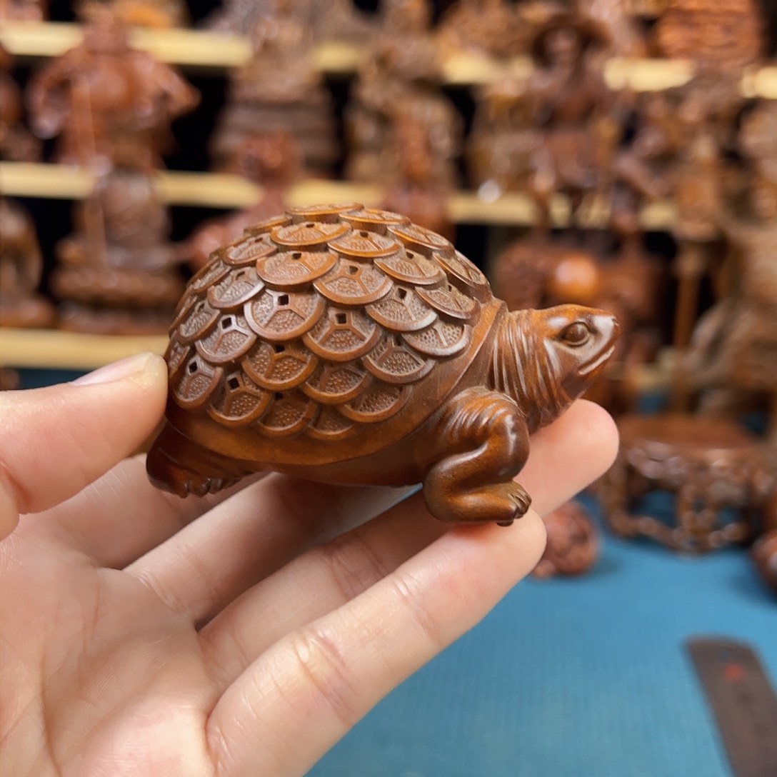 黄杨木小叶黄杨木