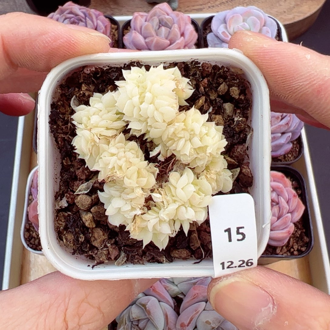 好好看15、哈哈哈哈