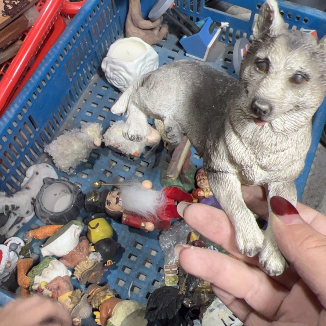 t***a树脂这么大岁数我还是