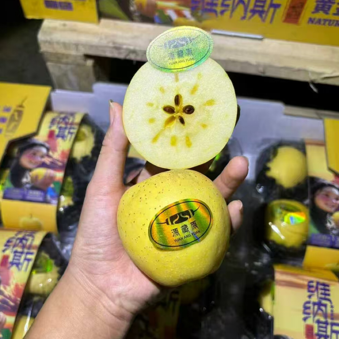 [两广次日达]藏源牌维纳斯苹果爽脆的口感7.2斤西藏自治区