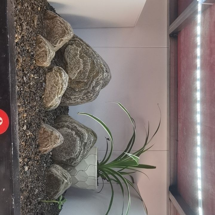 野采原生溪流石纯天然鱼缸造景天然造景石头石鱼缸造景石一物一拍