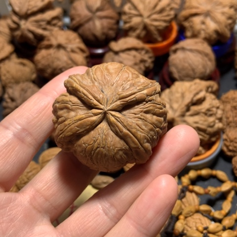 核桃天**行元宝四棱一个