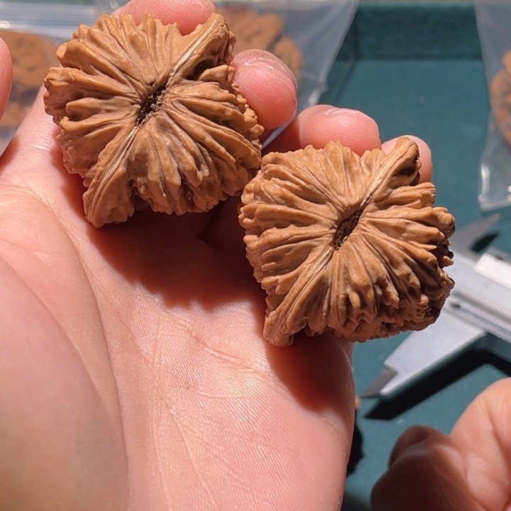 *****文玩核桃把件42楼子