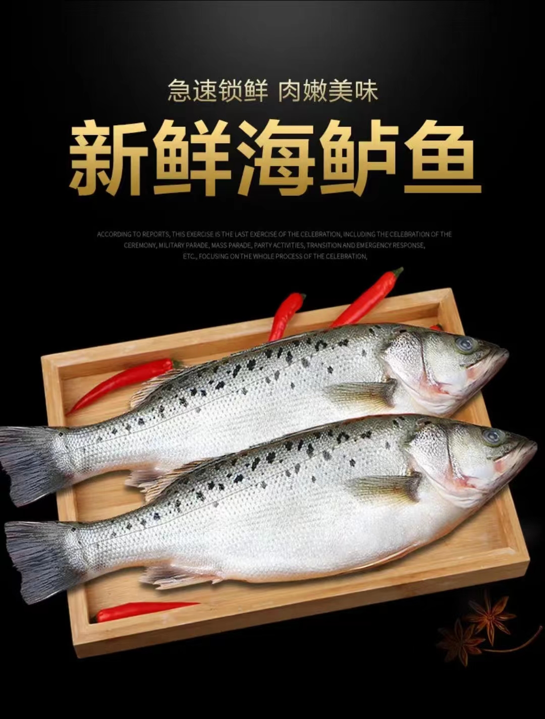 冰鲜海鲈鱼 1.4-1.6斤/条 连云港发货