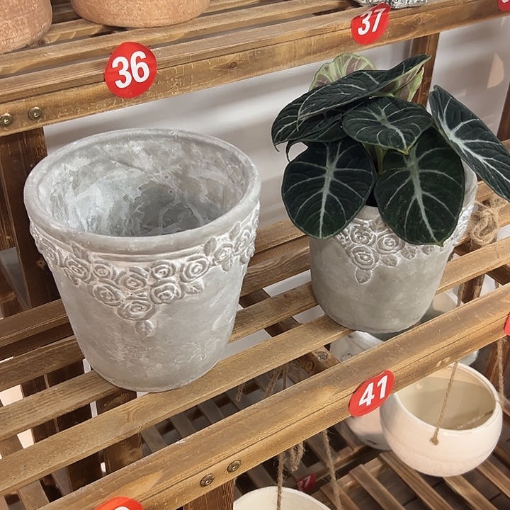 一对8889699999666655