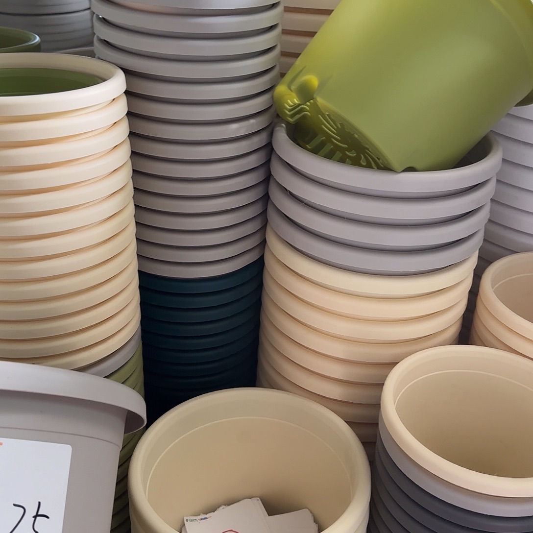 树脂四季3号无托10个果绿微瑕