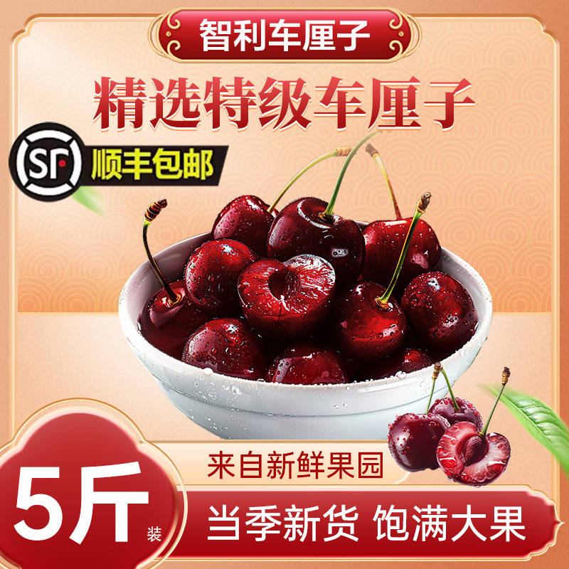智利拉宾斯车厘子JD2JD3JD原箱5斤净重