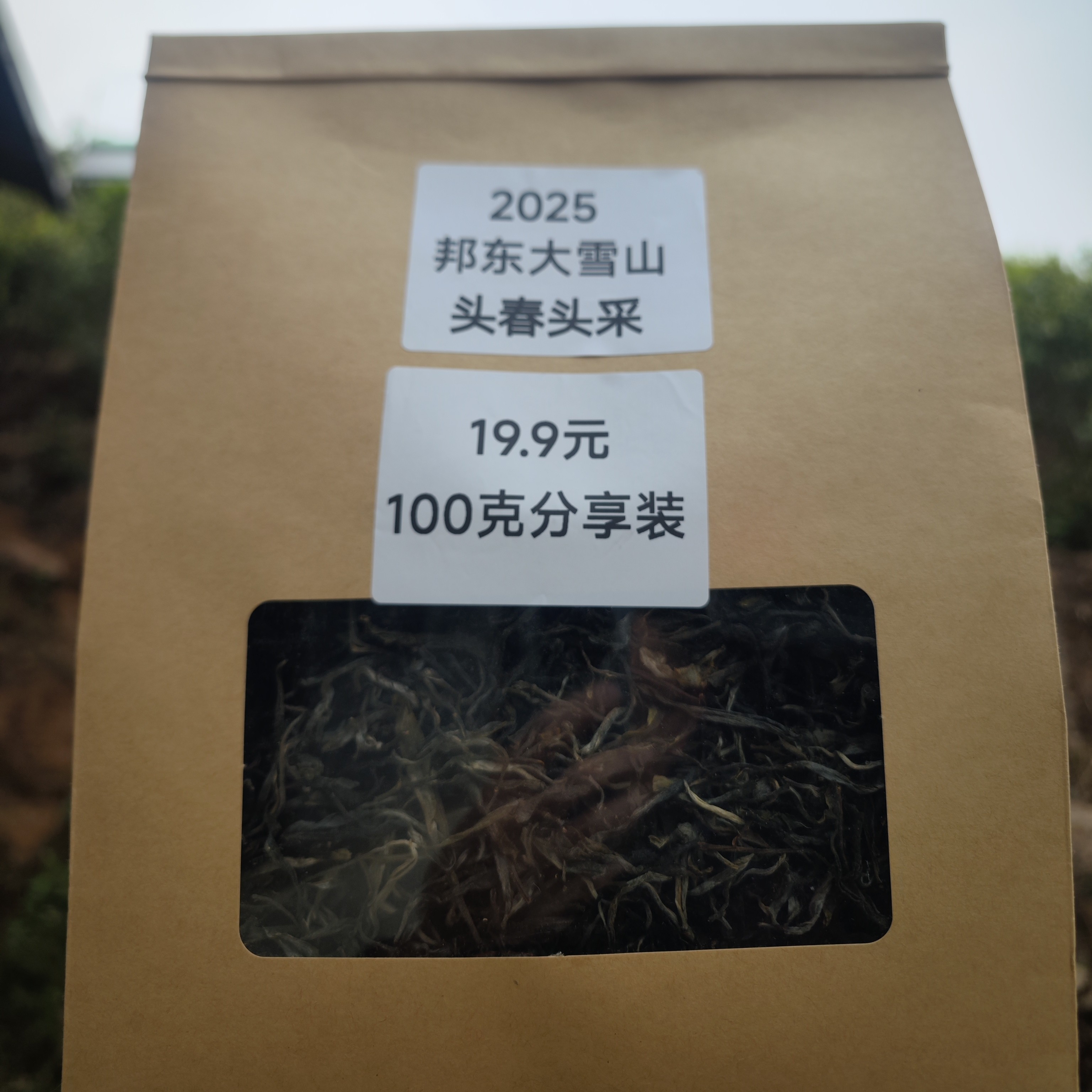 品鲜体验2025年头春头采邦东大雪山混采200克装新茶上市