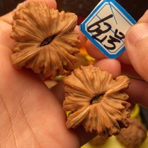文玩核桃吊坠蓟县楼43