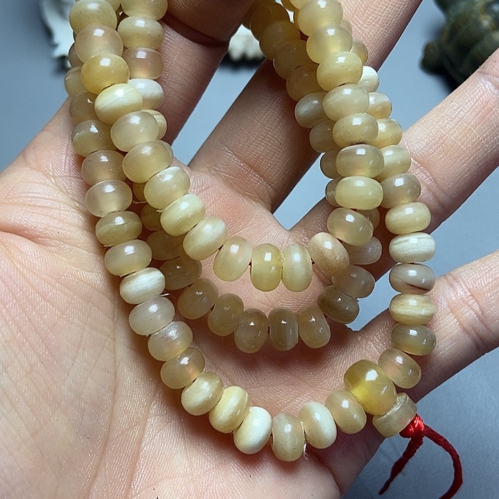 大果紫檀（缅甸花梨）