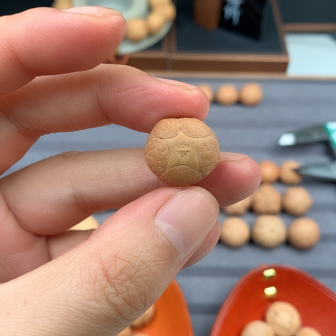 手串凤眼菩提18+五星，非质量问题开孔不退