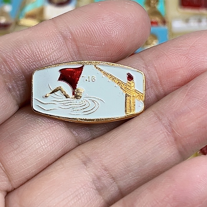 其他普通金属盖****?纪念章 纪念章 纪念章