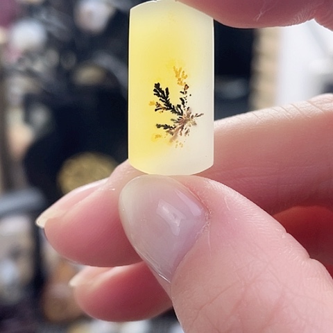 玛瑙/玉髓珠宝奇石未镶嵌