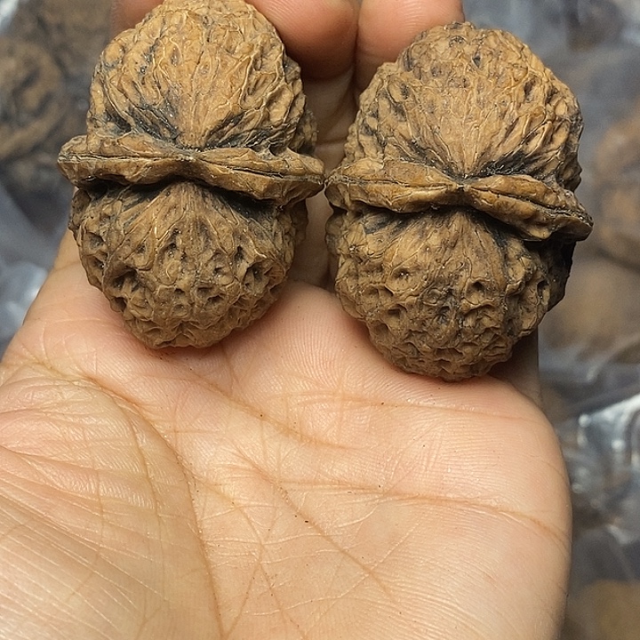 把件文玩核桃云南铁核桃93