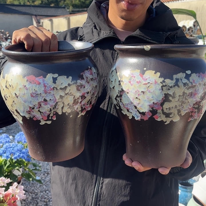 油画鱼尾两个口径17高度22