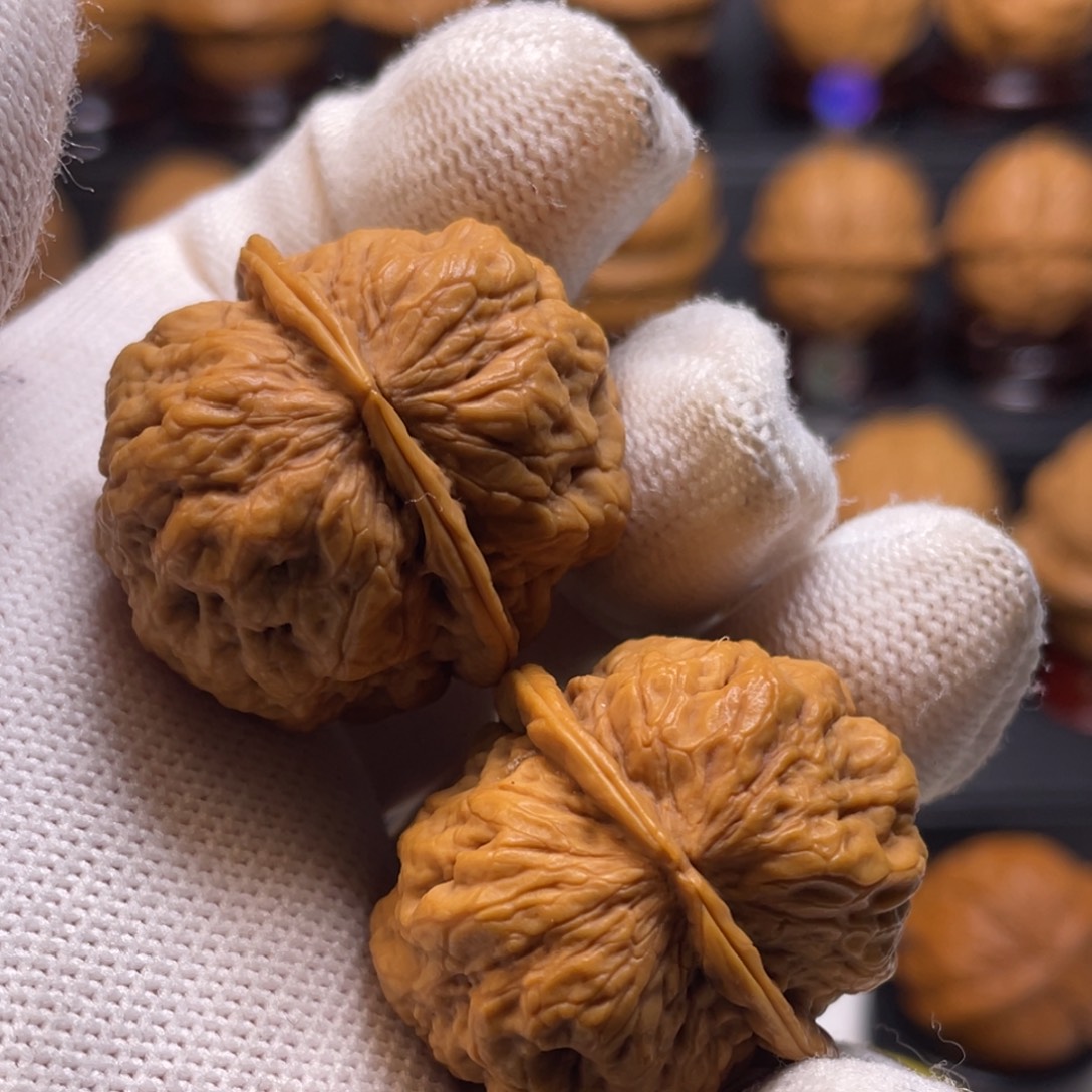 把件文玩核桃Y7血舍利33尺