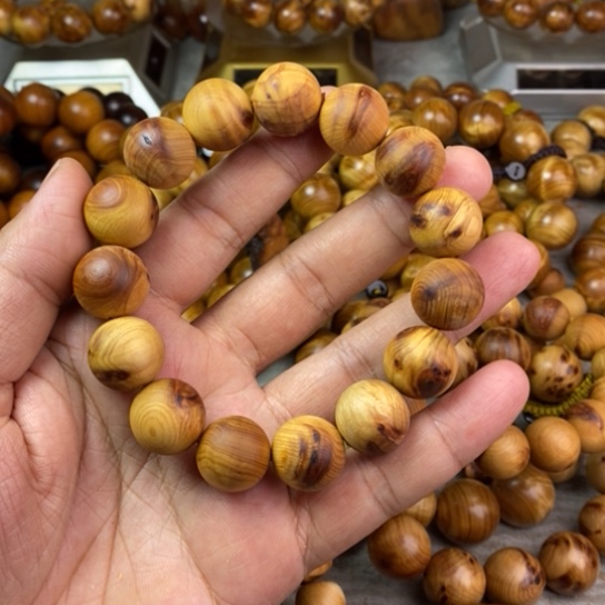 柏木（崖柏）崖柏1.5