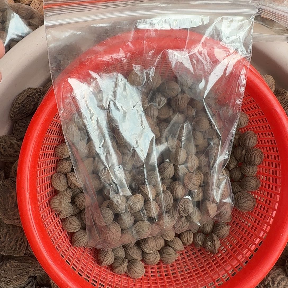 精品炭黑龙纹精挑50颗