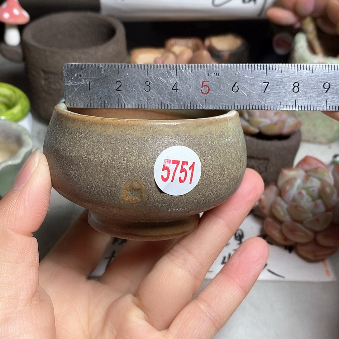 红陶拍5送一个小