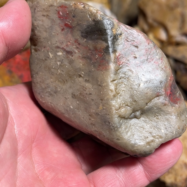 田黄石407克昌化鸡血石