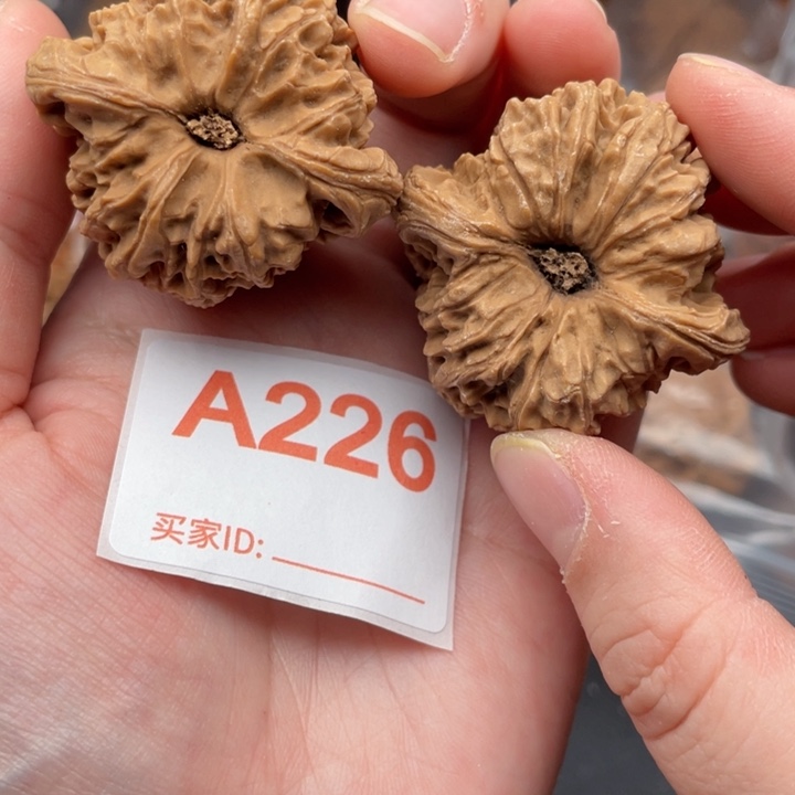 文玩核桃吊坠核桃