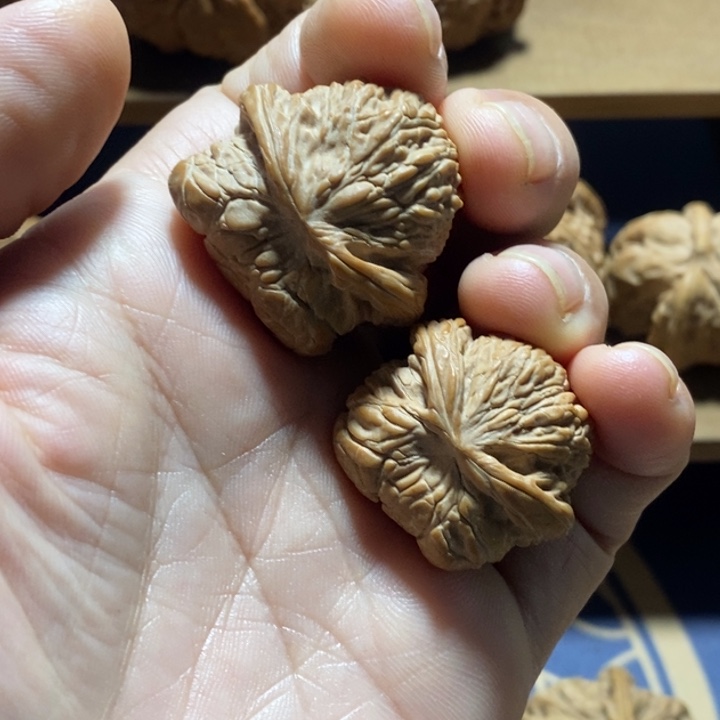 习***你文玩核桃吊坠平底锅蛇头