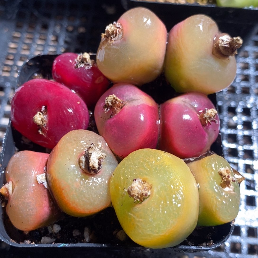 9167一组一组一组