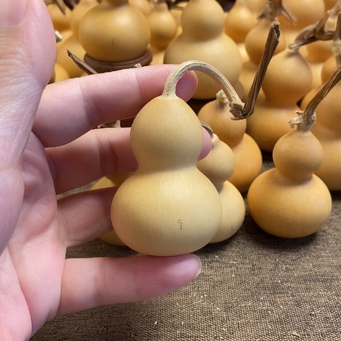 文玩葫芦 完美主义者 慎拍9