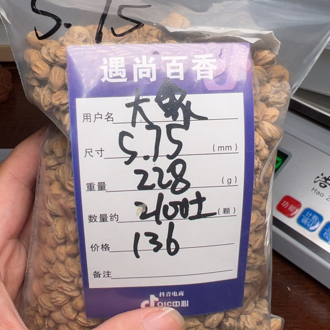 柏香籽/百香籽吊坠大***飞