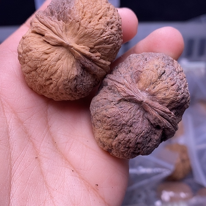 吊坠文玩核桃   213