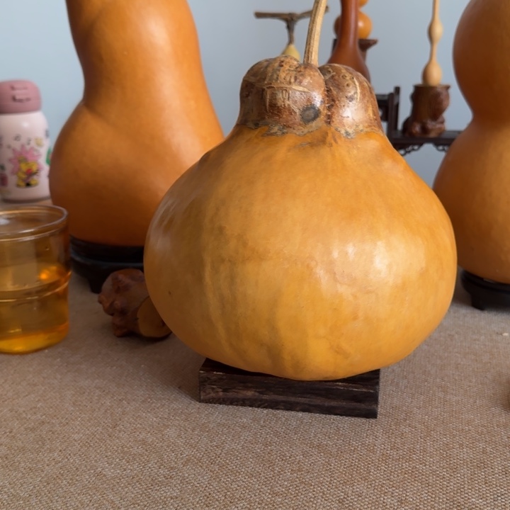 月***禅大叶紫檀（黑酸枝木类）