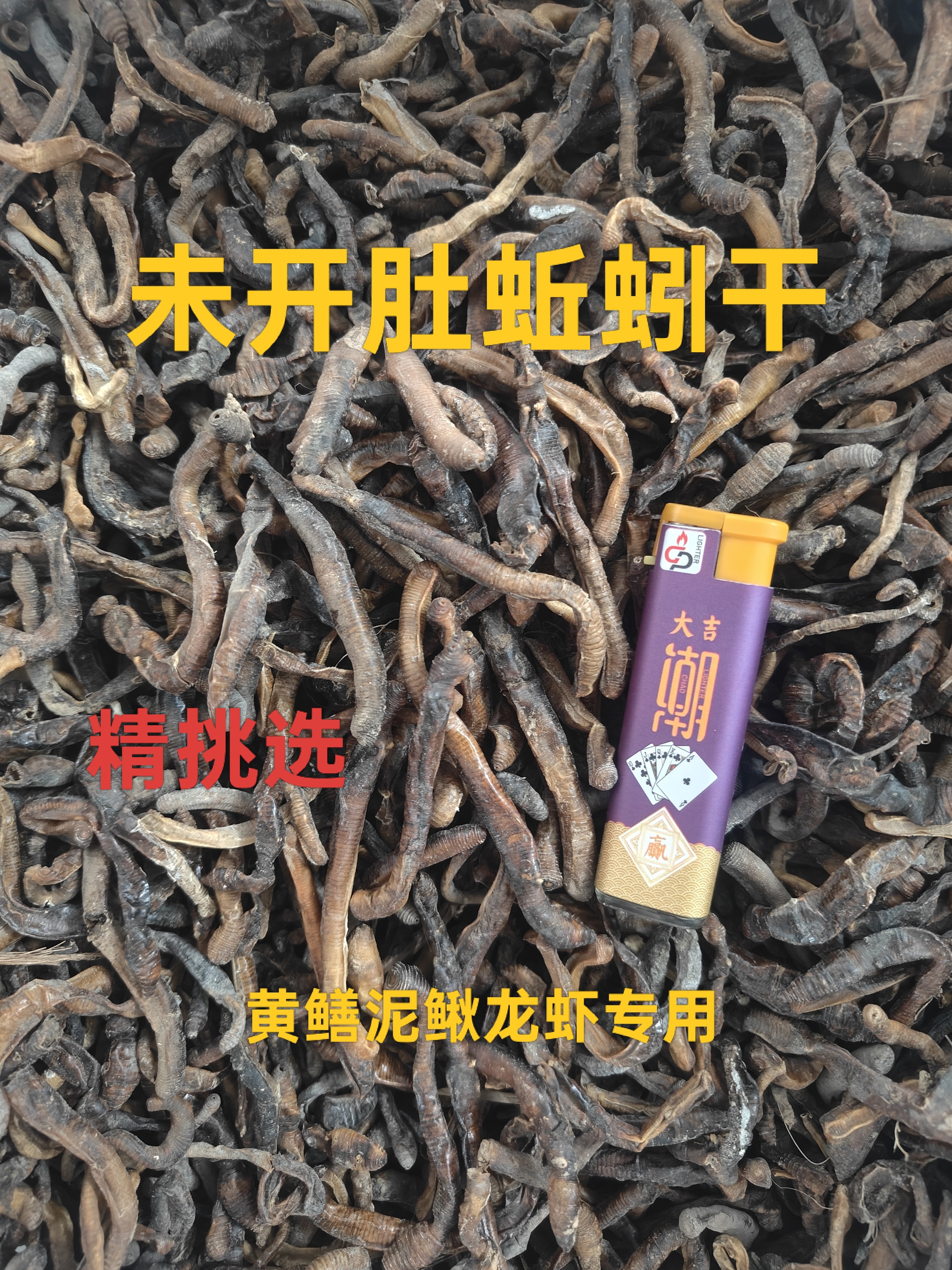 黄鳝泥鳅诱饵蚯蚓干专用挑选精品