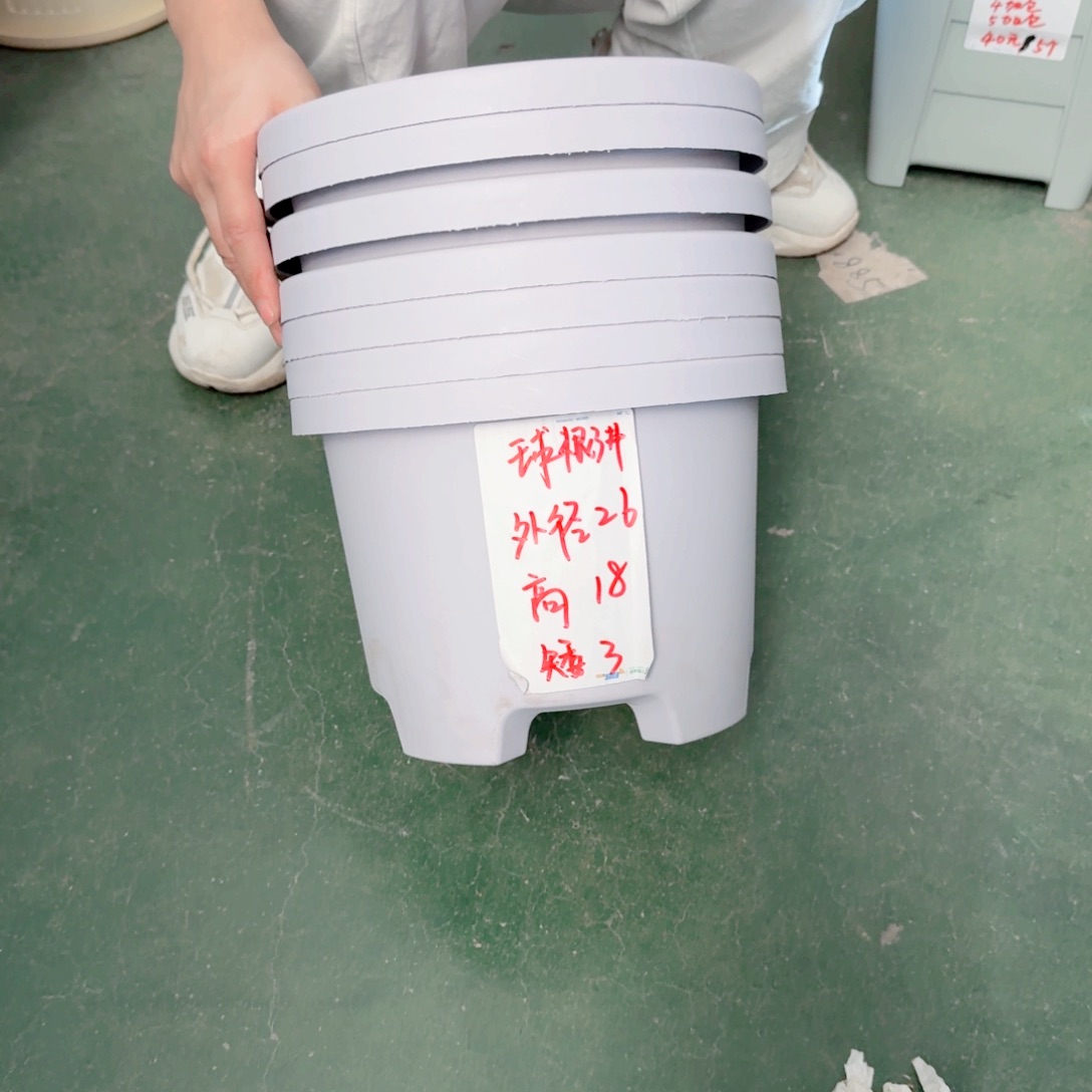 球根3#无拖灰白6个