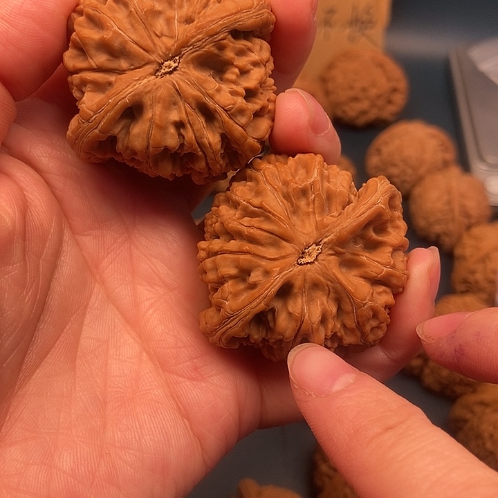 东***虎大大大大大尖黄水龙