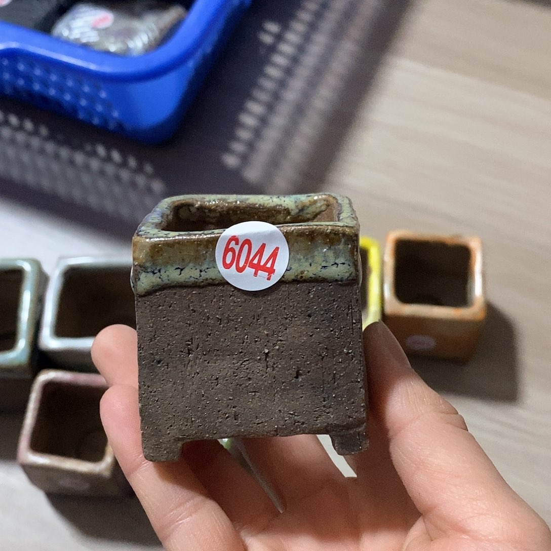 红陶拍5送一个小。