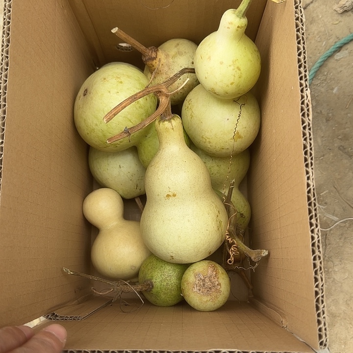 文玩葫芦零元起拍