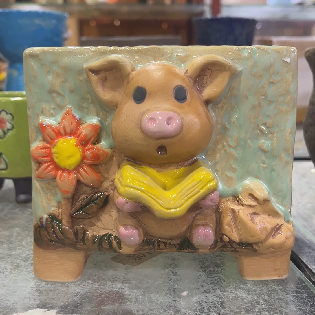 满20飞花盆爱退款拉黑