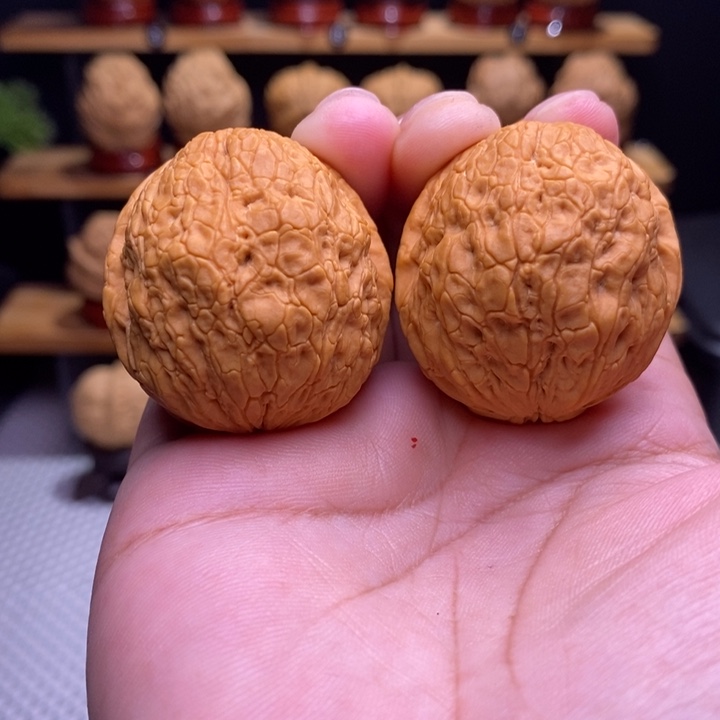 木质类云铁金丝绣球6号