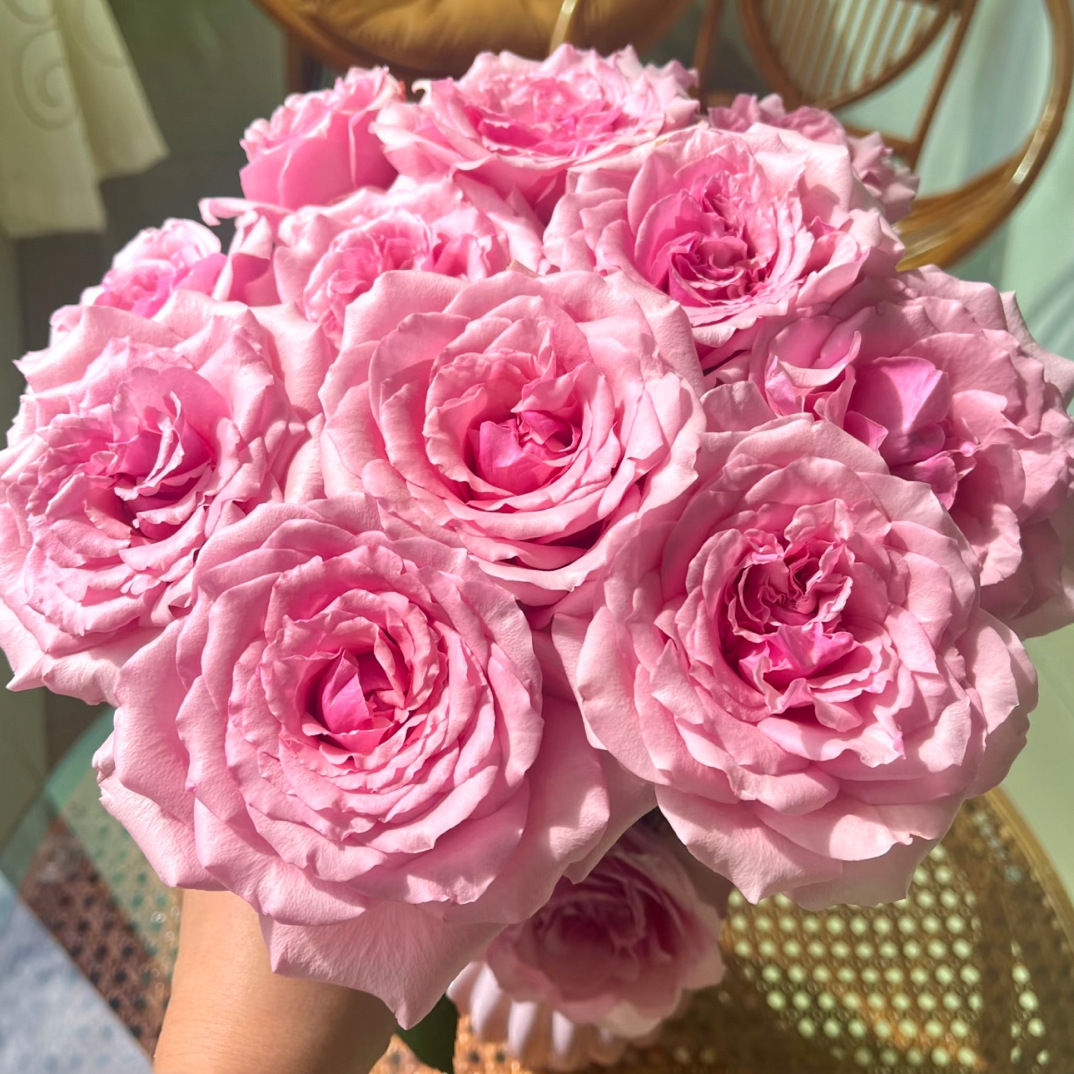 【云梦花铺】单头玫瑰粉邂逅-基地直发-一单普通快递两单顺丰冷链